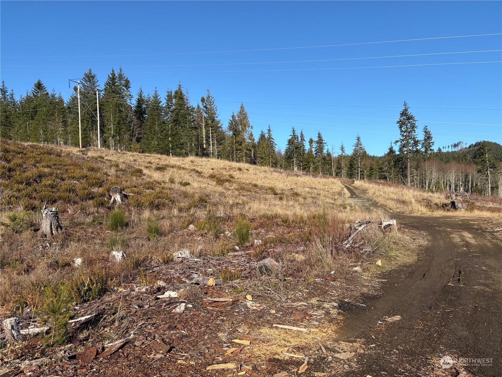 0 B-1000 Road Property Photo 11