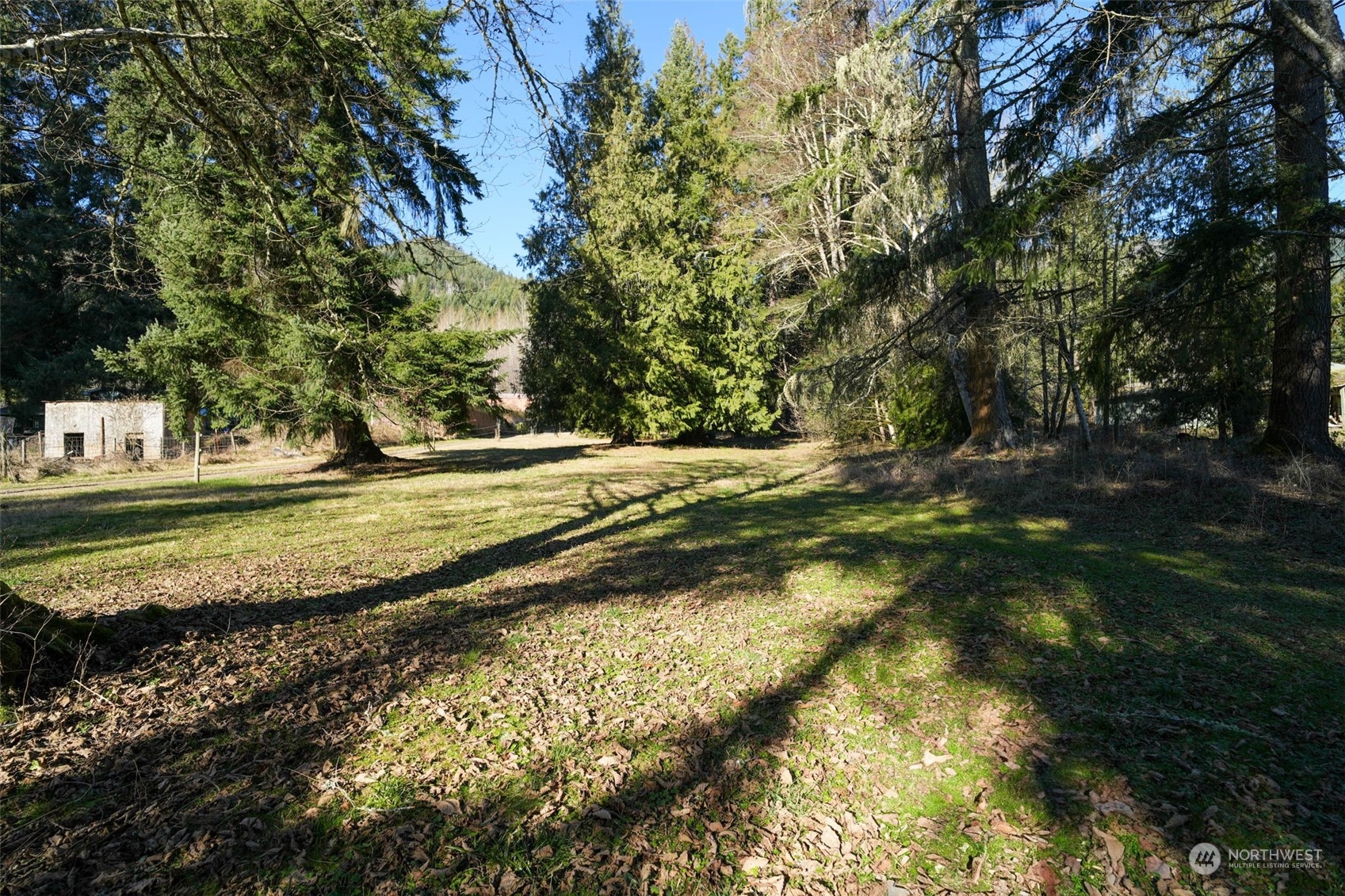244 Martin Road Property Photo 30