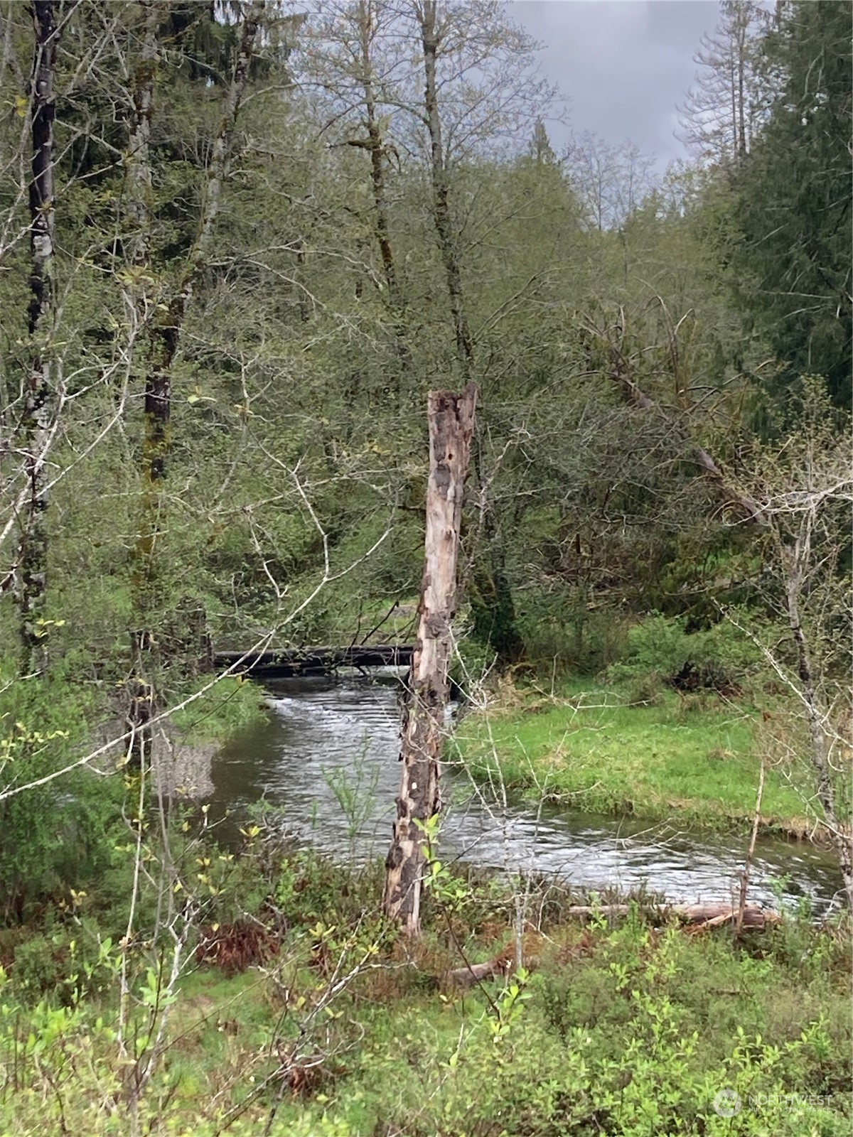 0 East Of Bingham Creek Property Photo