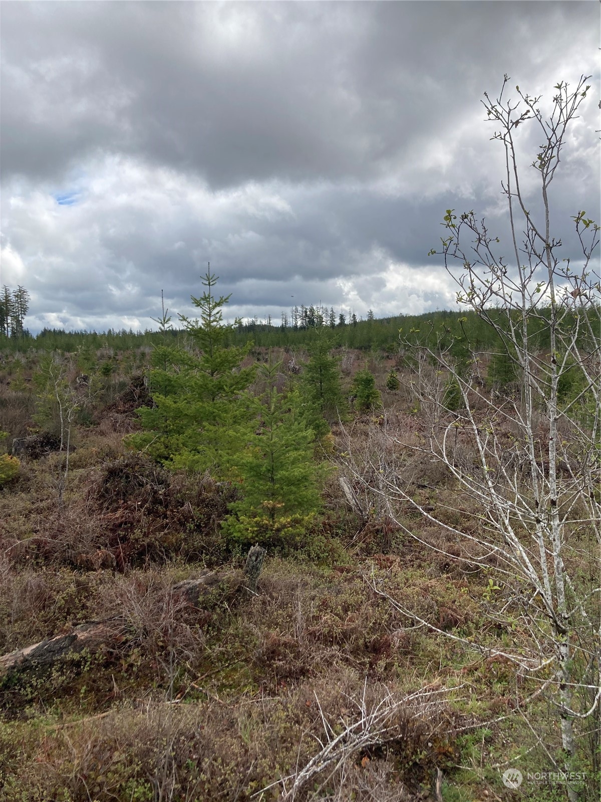 0 East Of Bingham Creek Property Photo 7