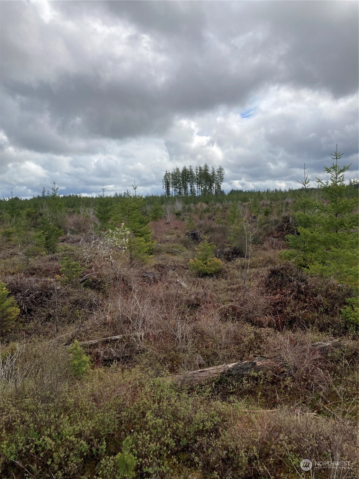 0 East Of Bingham Creek Property Photo 8