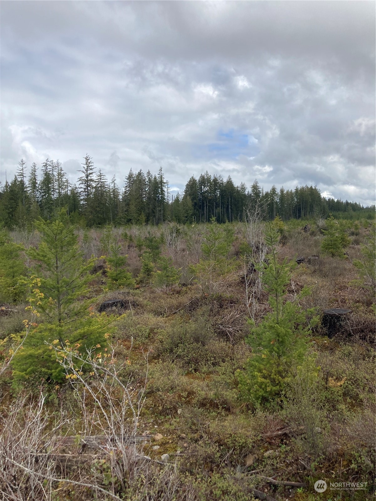 0 East Of Bingham Creek Property Photo 9