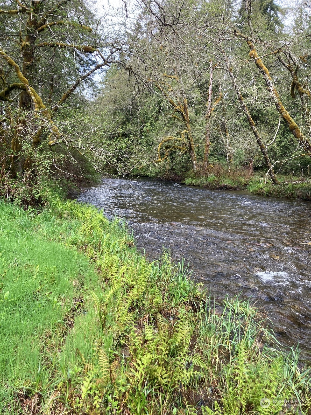 0 East Of Bingham Creek Property Photo 12