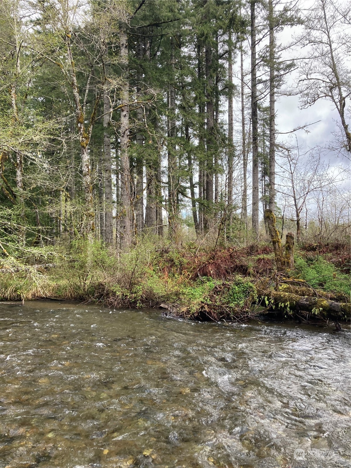 0 East Of Bingham Creek Property Photo 13