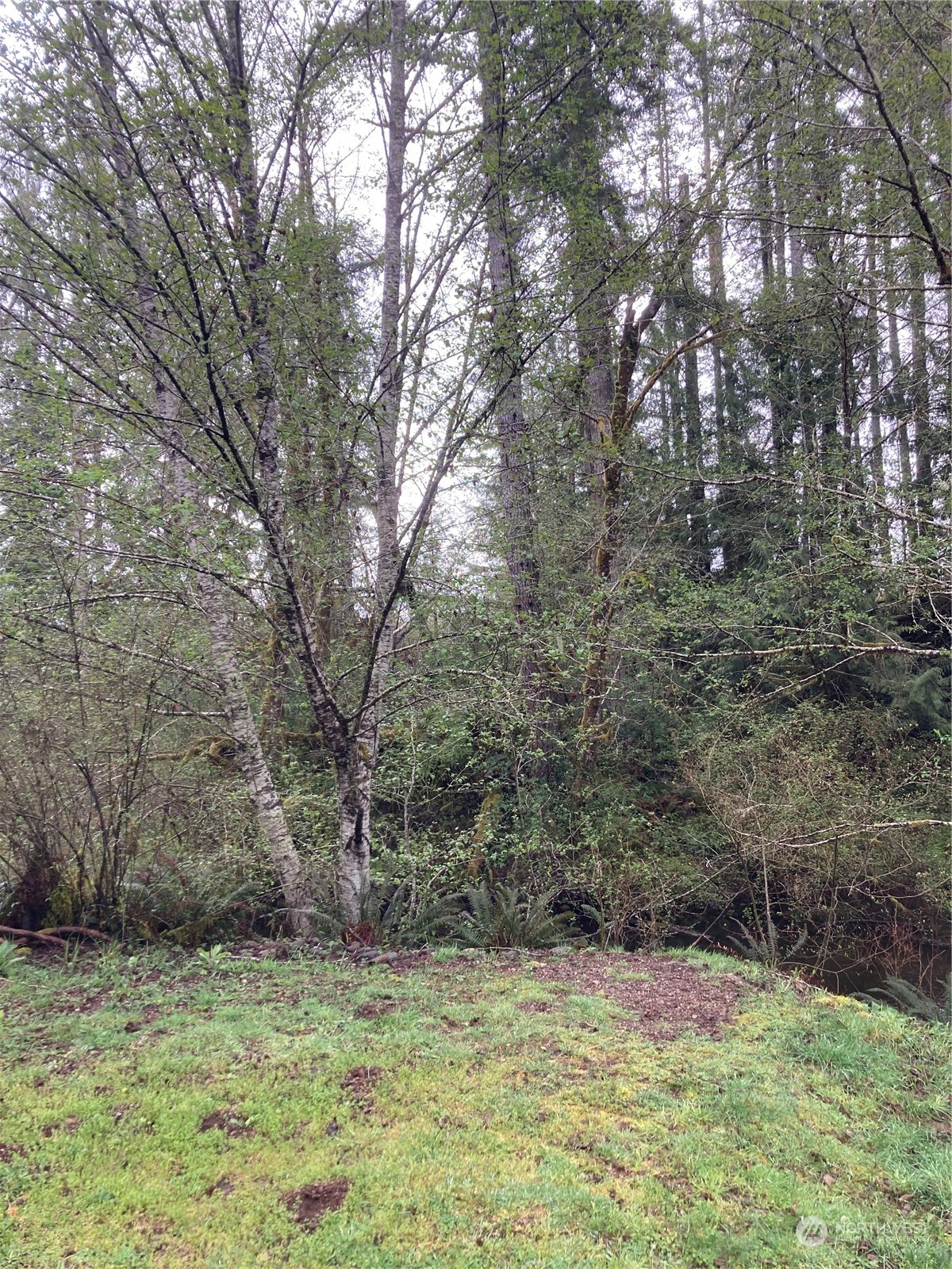0 East Of Bingham Creek Property Photo 23
