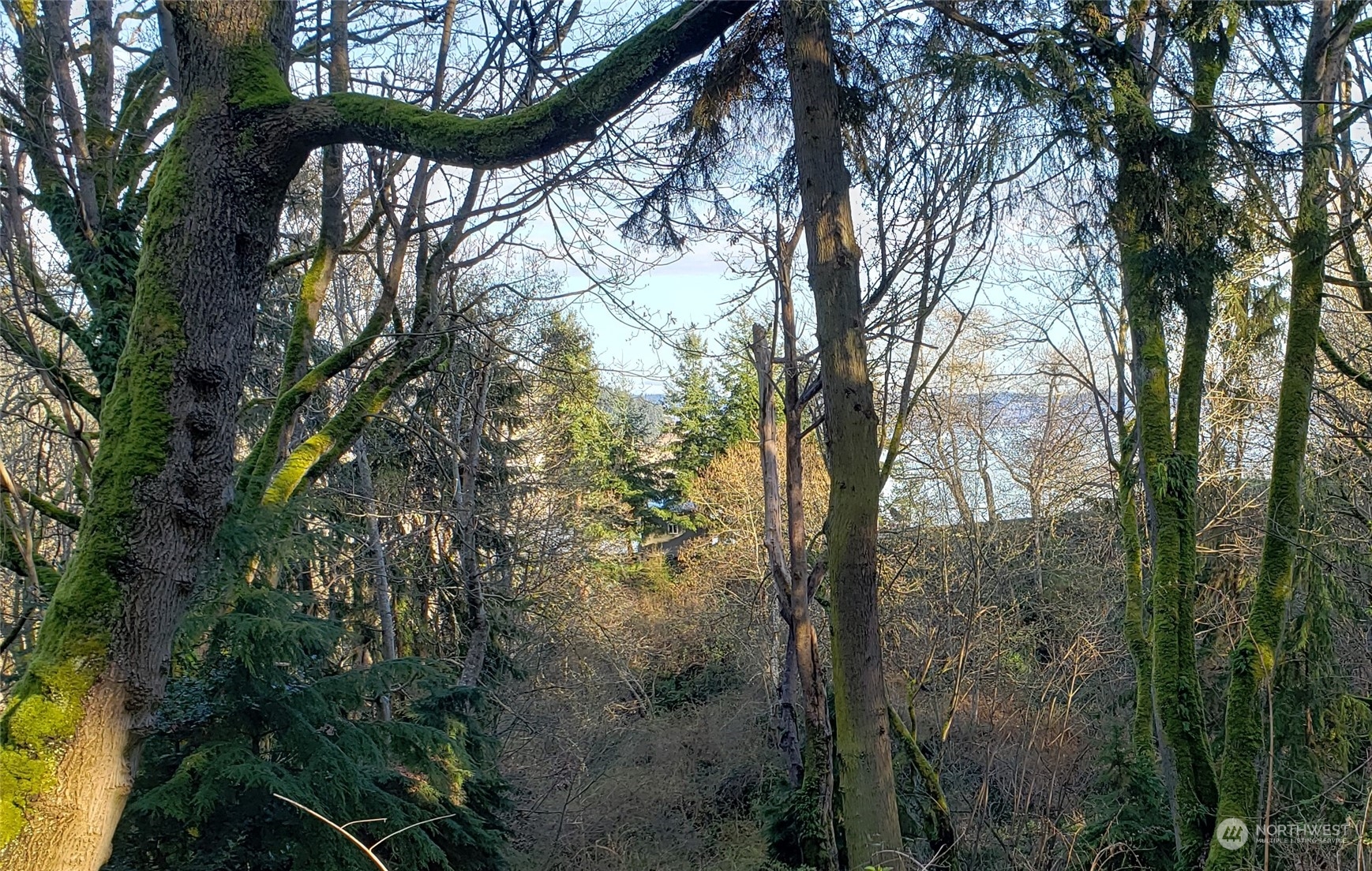 12 Sand Dollar Lane Property Photo