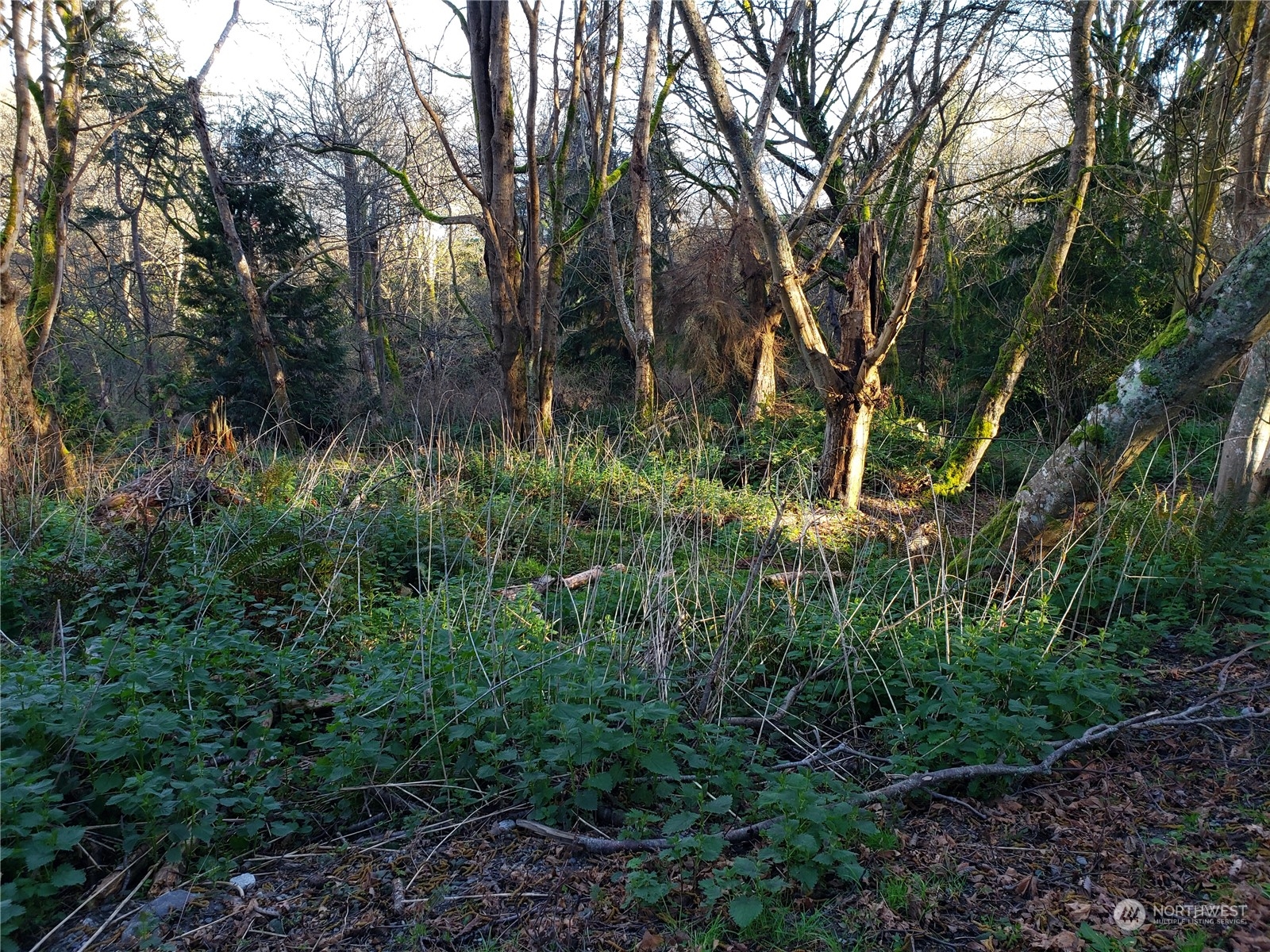 12 Sand Dollar Lane Property Photo 17