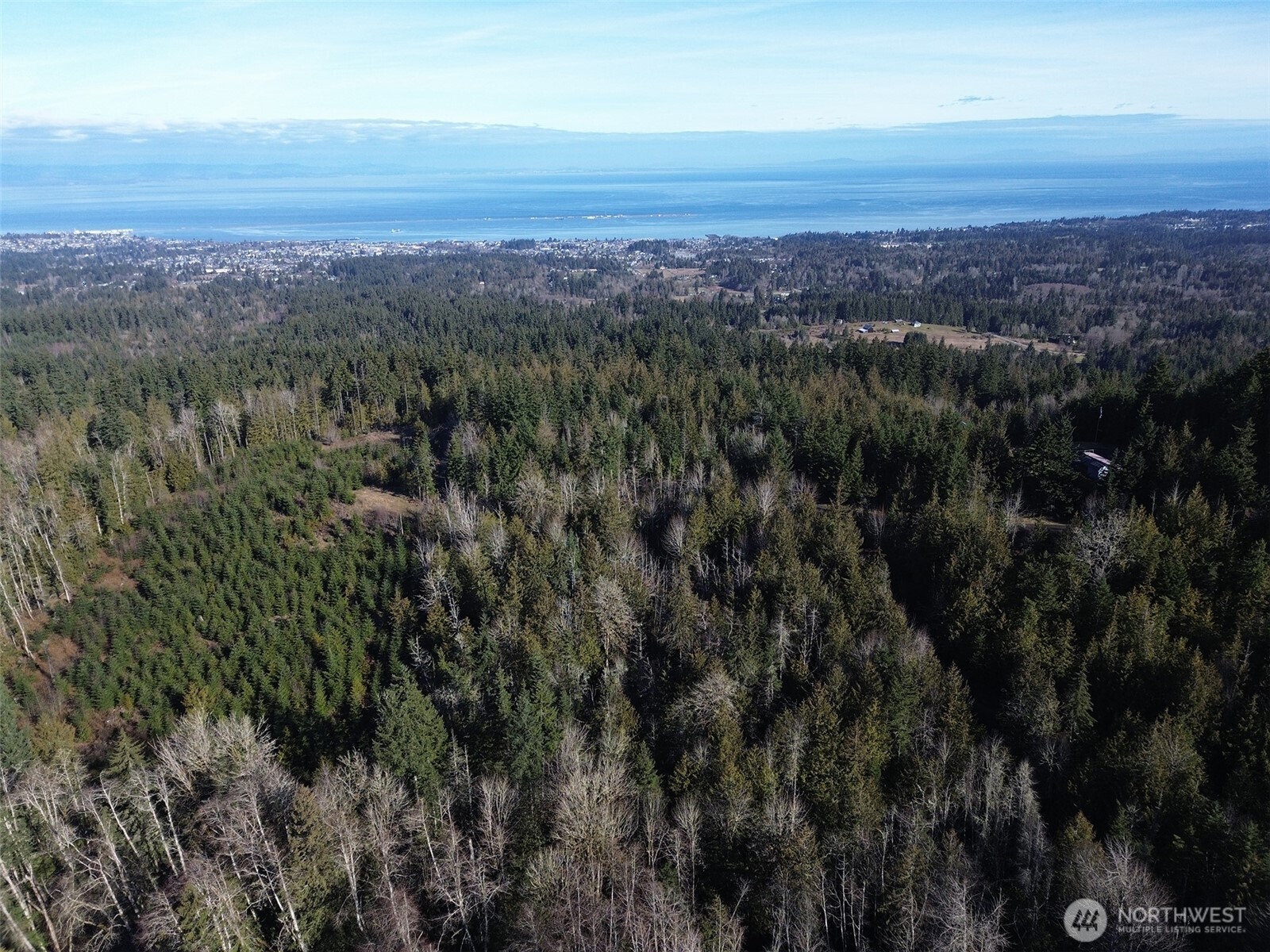 0 E Angeles Ridge Road Property Photo 4