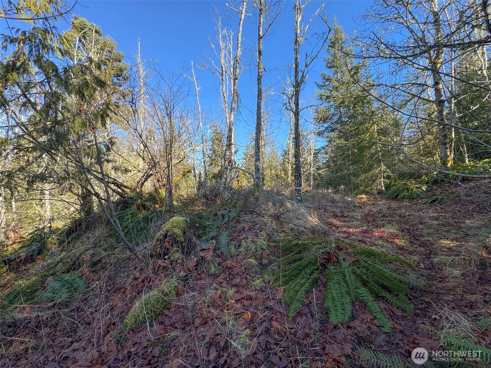0 E Angeles Ridge Road Property Photo 17