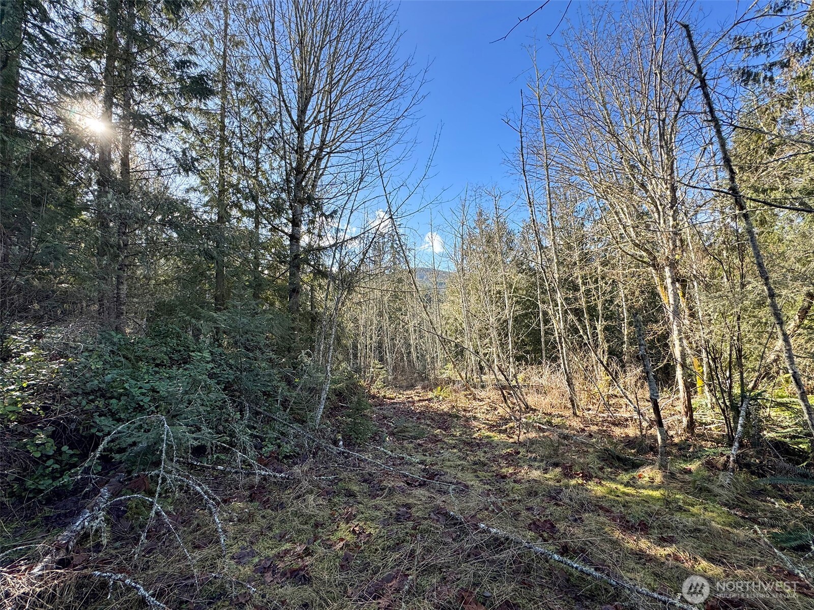 0 E Angeles Ridge Road Property Photo 19