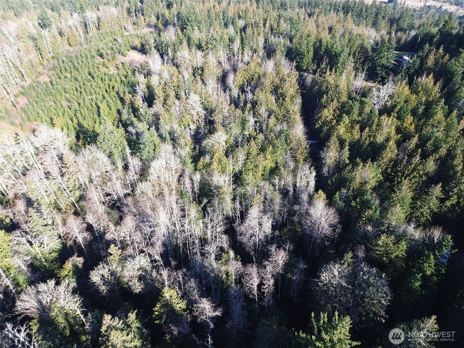 0 E Angeles Ridge Road Property Photo 25