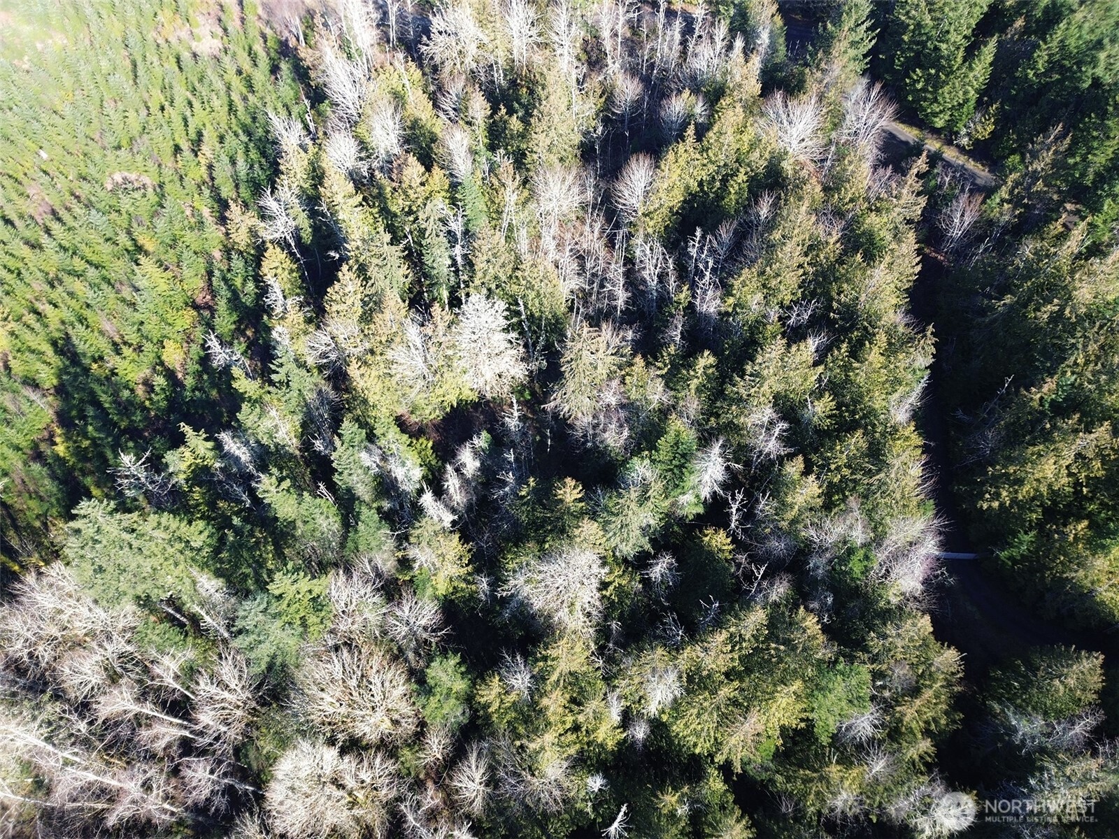 0 E Angeles Ridge Road Property Photo 26