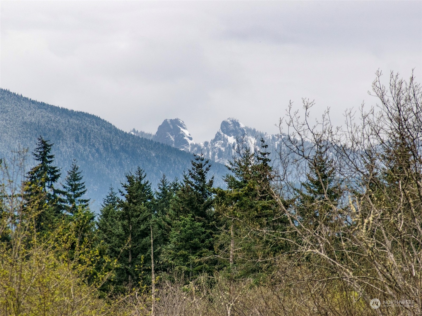 9999 Cedar Glen Lane Property Photo 3