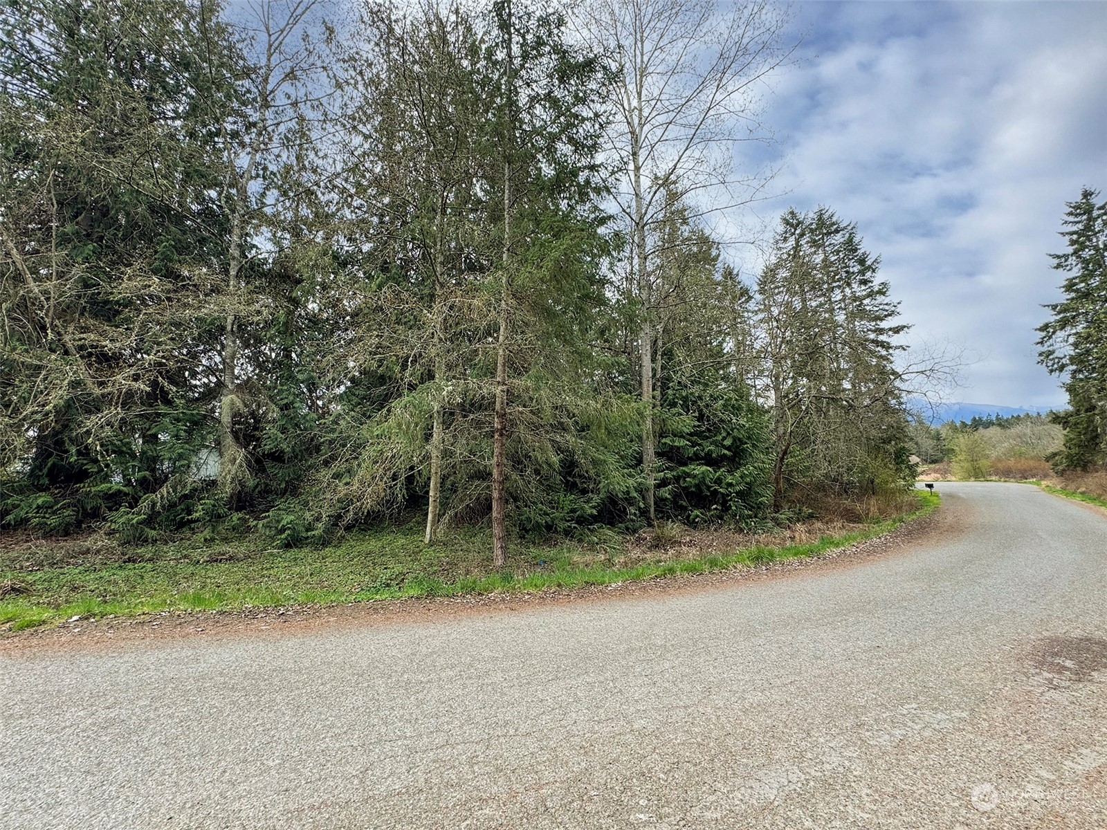 9999 Cedar Glen Lane Property Photo 15