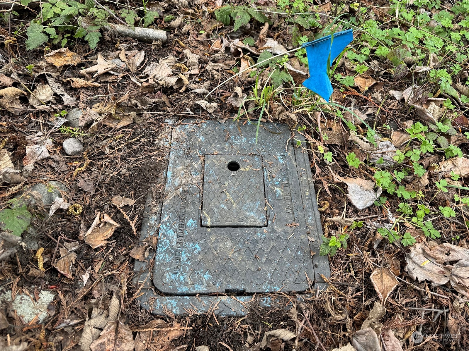 9999 Cedar Glen Lane Property Photo 16