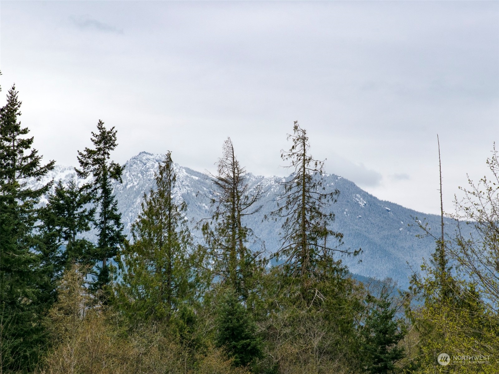 9999 Cedar Glen Lane Property Photo 21