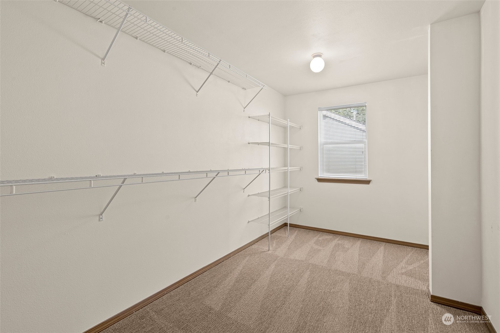 6732 Steamer Drive Property Photo 22