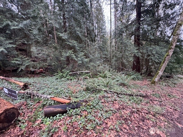 0 207th Place Property Photo 6