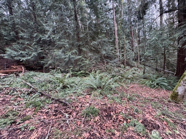 0 207th Place Property Photo 7