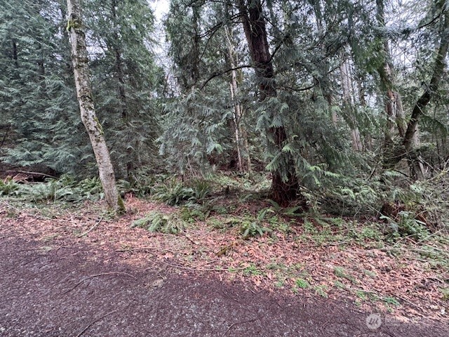 0 207th Place Property Photo 8