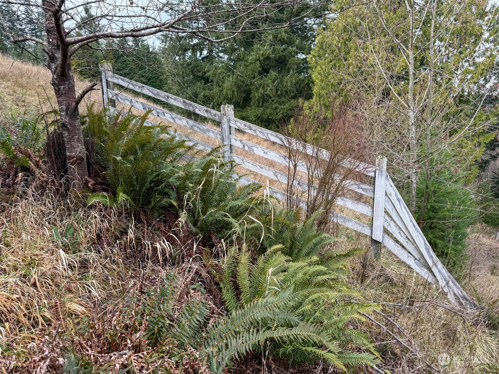 0 Cooks Hill Road Property Photo 13
