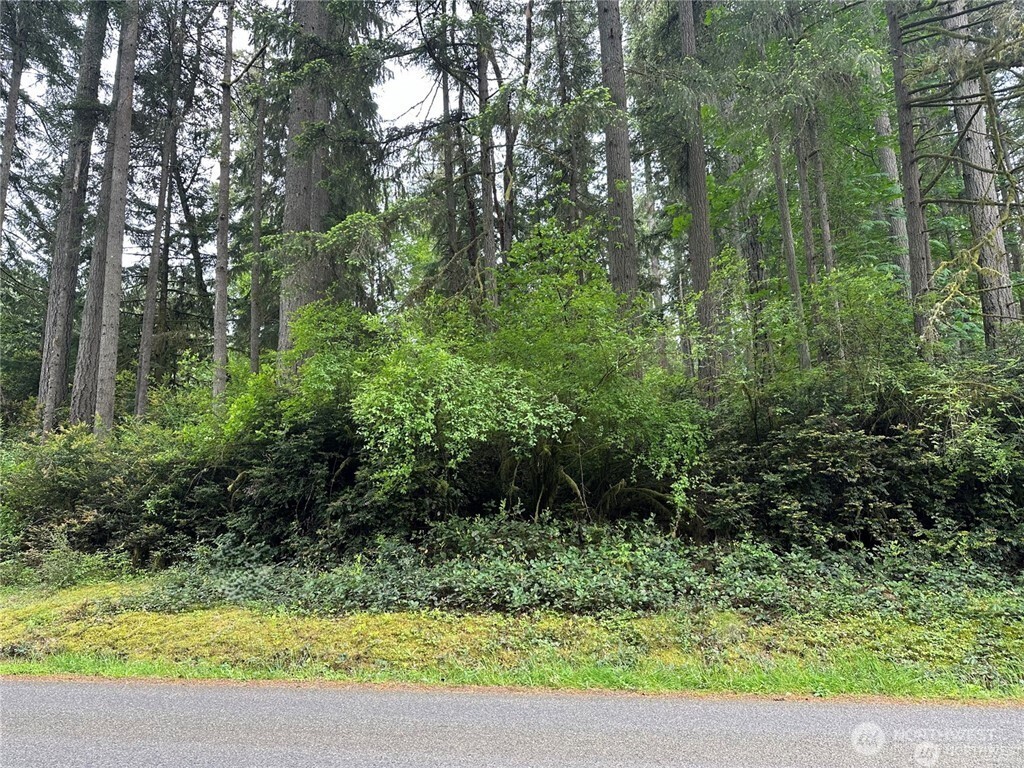11312 Yoman Road Property Photo 2