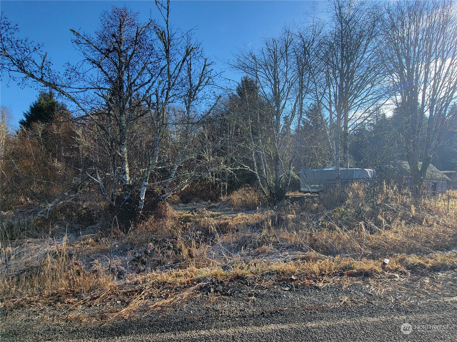 889 Altoona Pillar Rock Road Property Photo 10