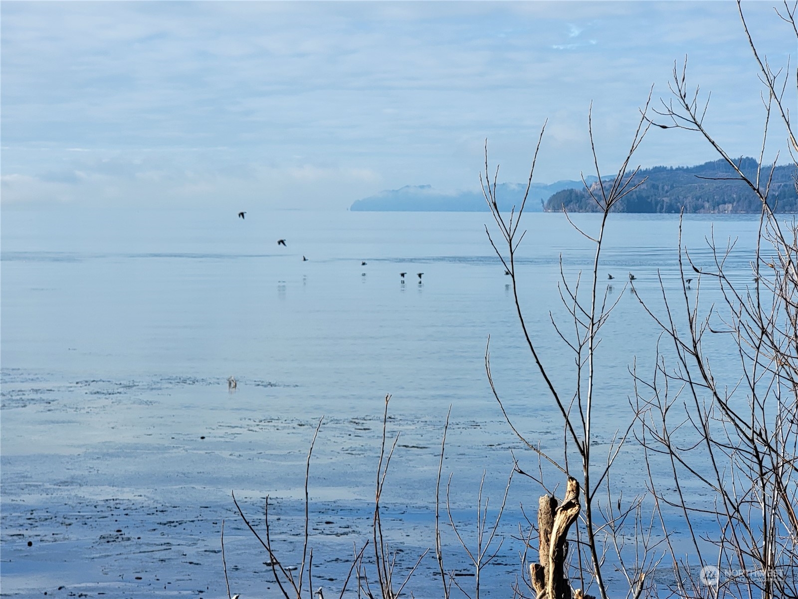 889 Altoona Pillar Rock Road Property Photo 17