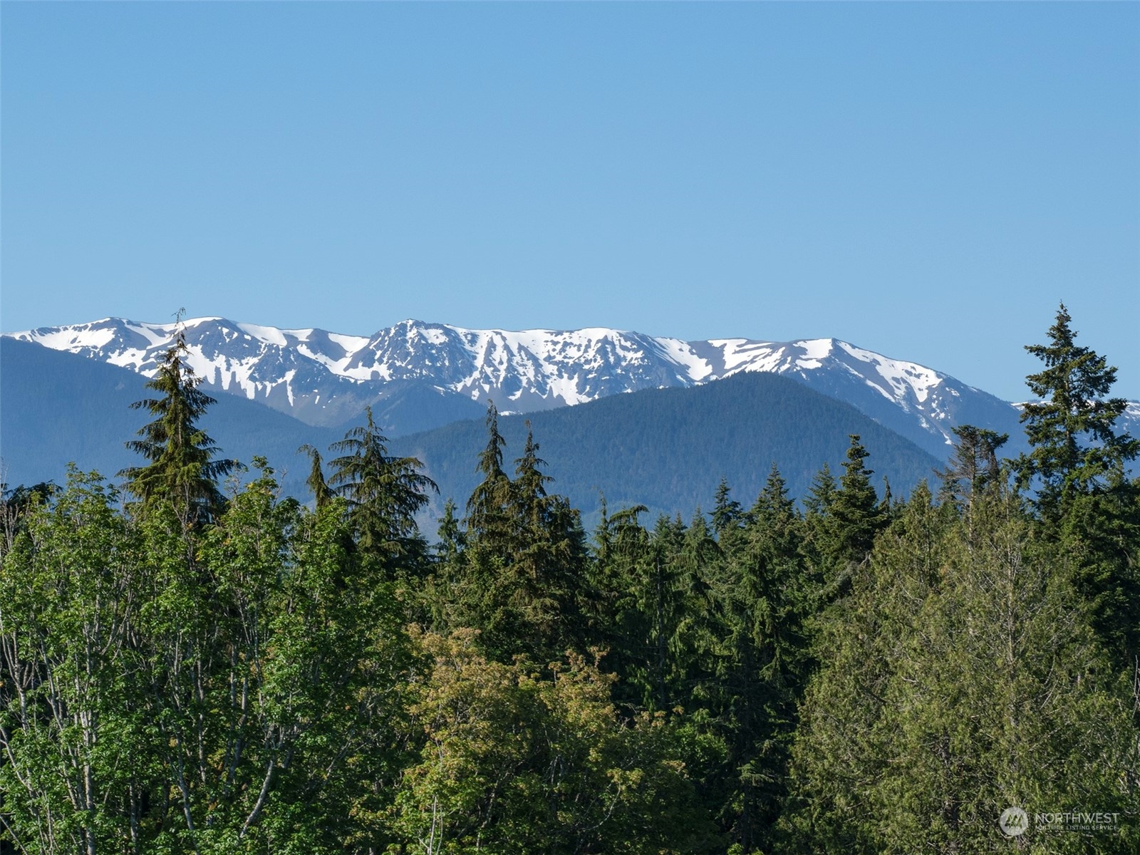 1002 A Lemmon Road Property Photo 11