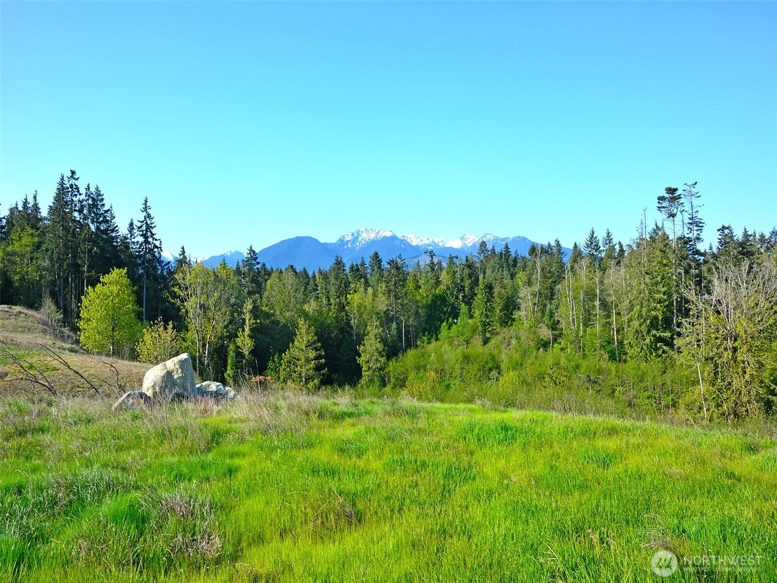 1002 Lemmon Road Property Photo 21