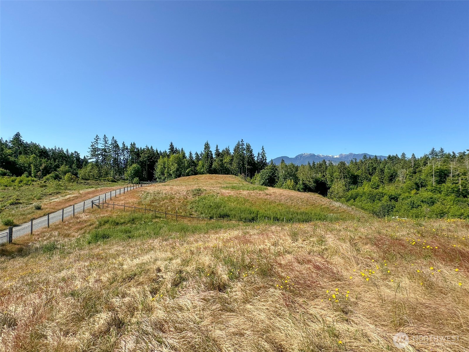 1002 Lemmon Road Property Photo 5