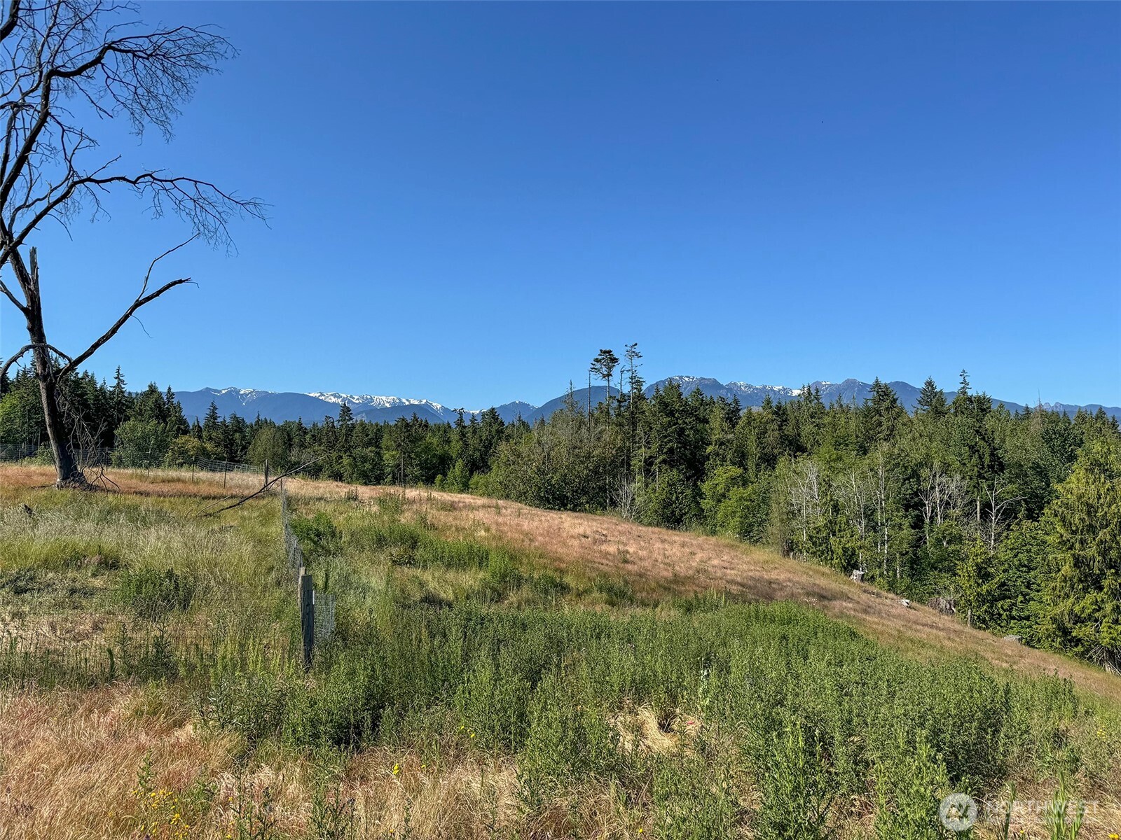 1002 Lemmon Road Property Photo 9