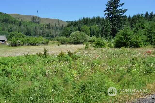 191 Mineral Road Property Photo 21