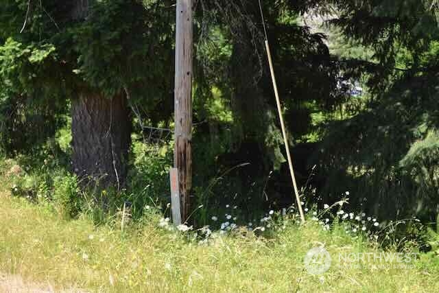 191 Mineral Road Property Photo 22