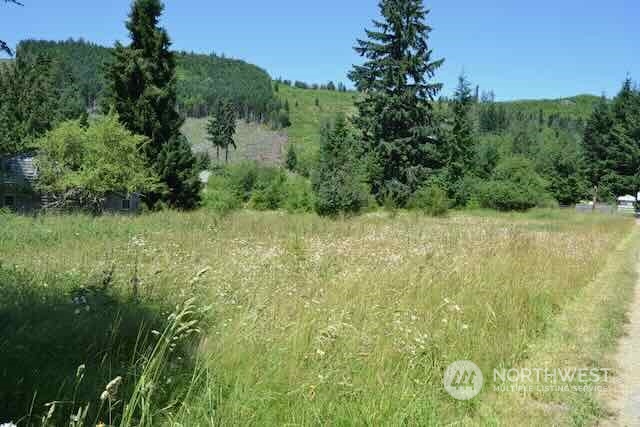 191 Mineral Road Property Photo 23