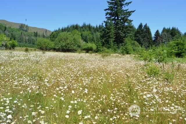 191 Mineral Road Property Photo 24