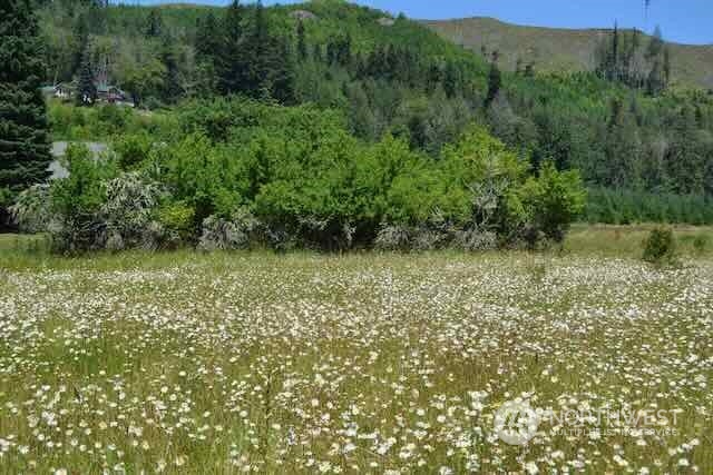 191 Mineral Road Property Photo 25