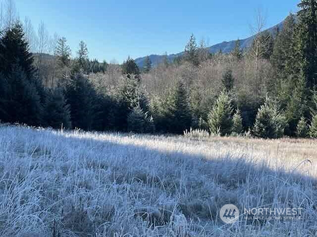 191 Mineral Road Property Photo 26