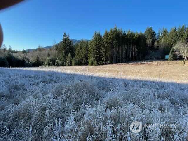 191 Mineral Road Property Photo 27
