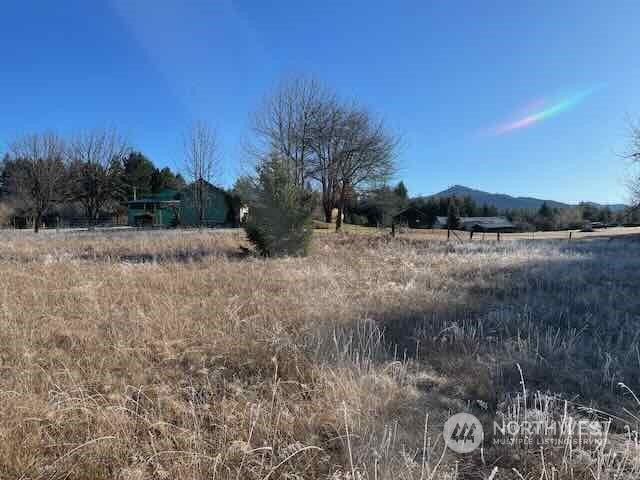 191 Mineral Road Property Photo 28