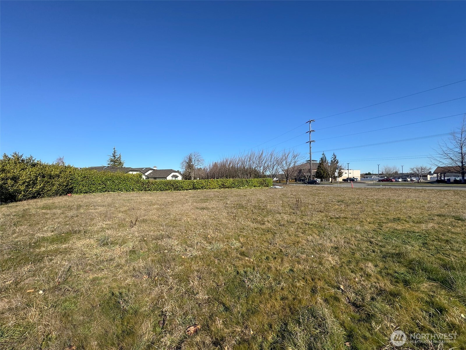 955 N 5th Avenue Property Photo 22