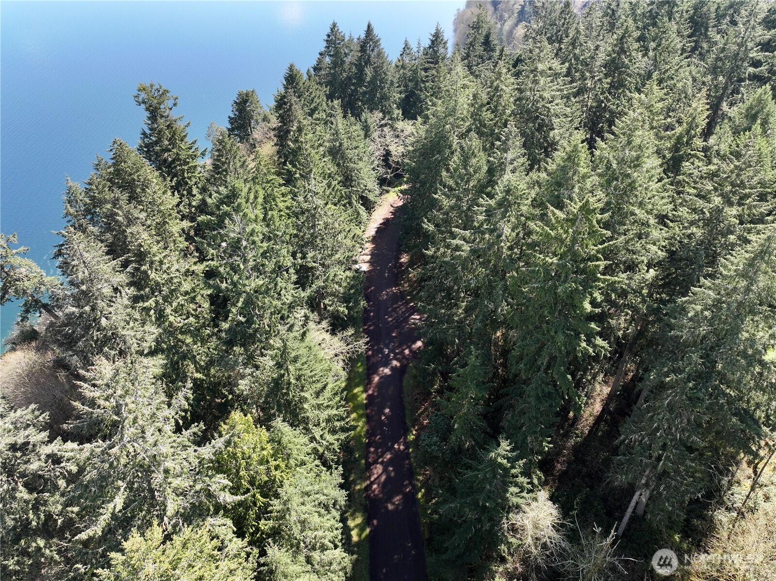 10111 Totem Way Property Photo 8