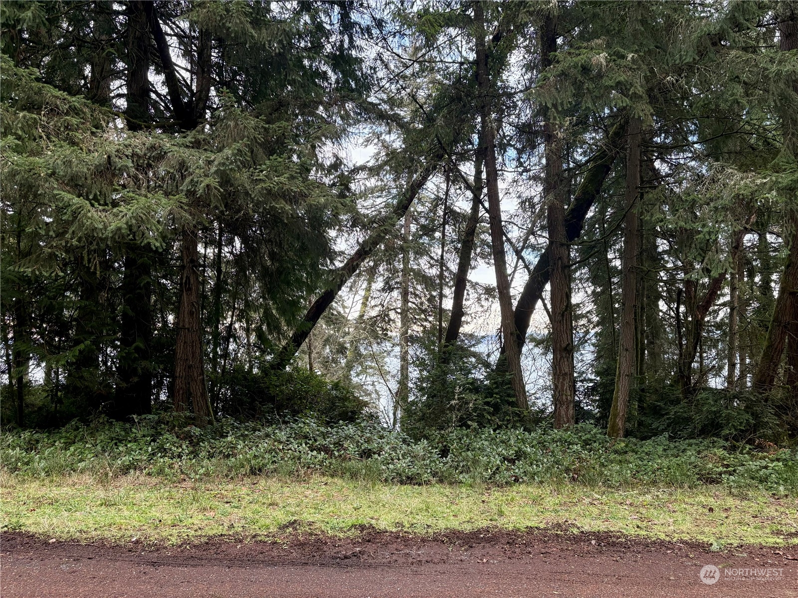 10111 Totem Way Property Photo 14