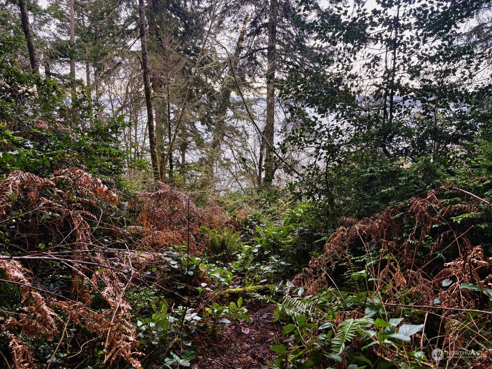 10111 Totem Way Property Photo 15