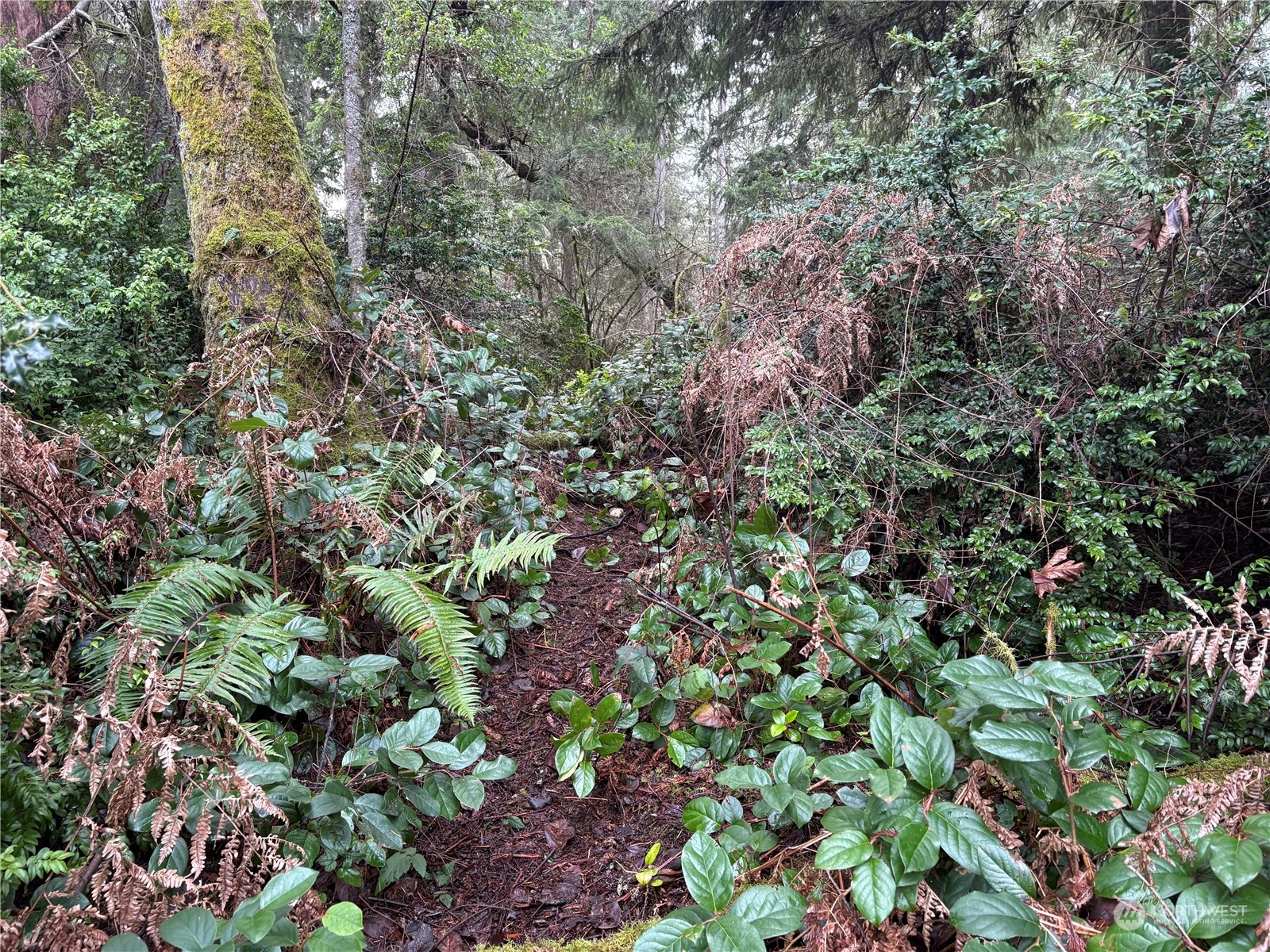 10111 Totem Way Property Photo 17