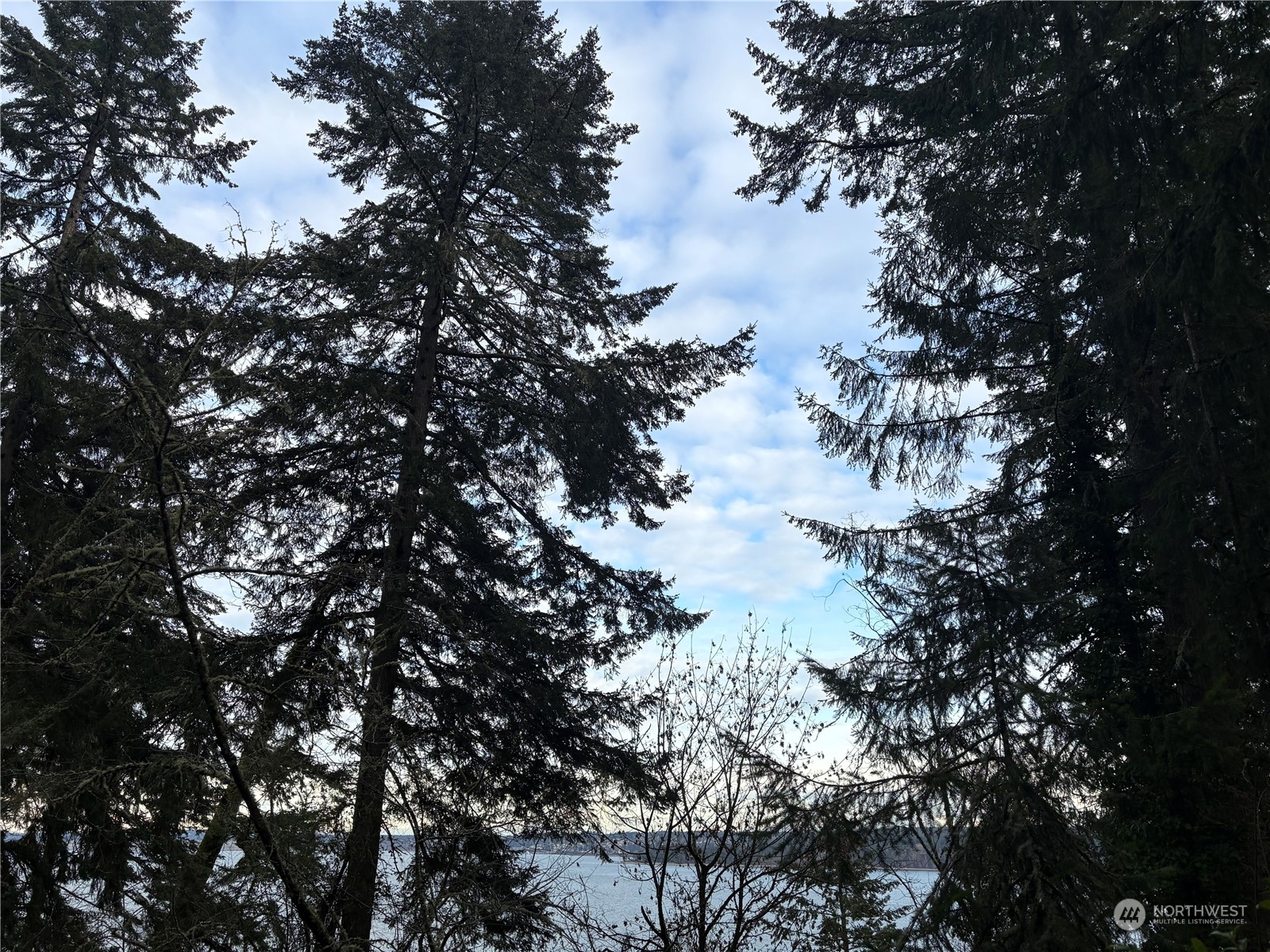 10111 Totem Way Property Photo 18