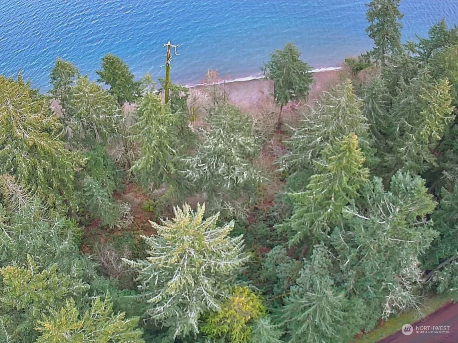 10111 Totem Way Property Photo 19
