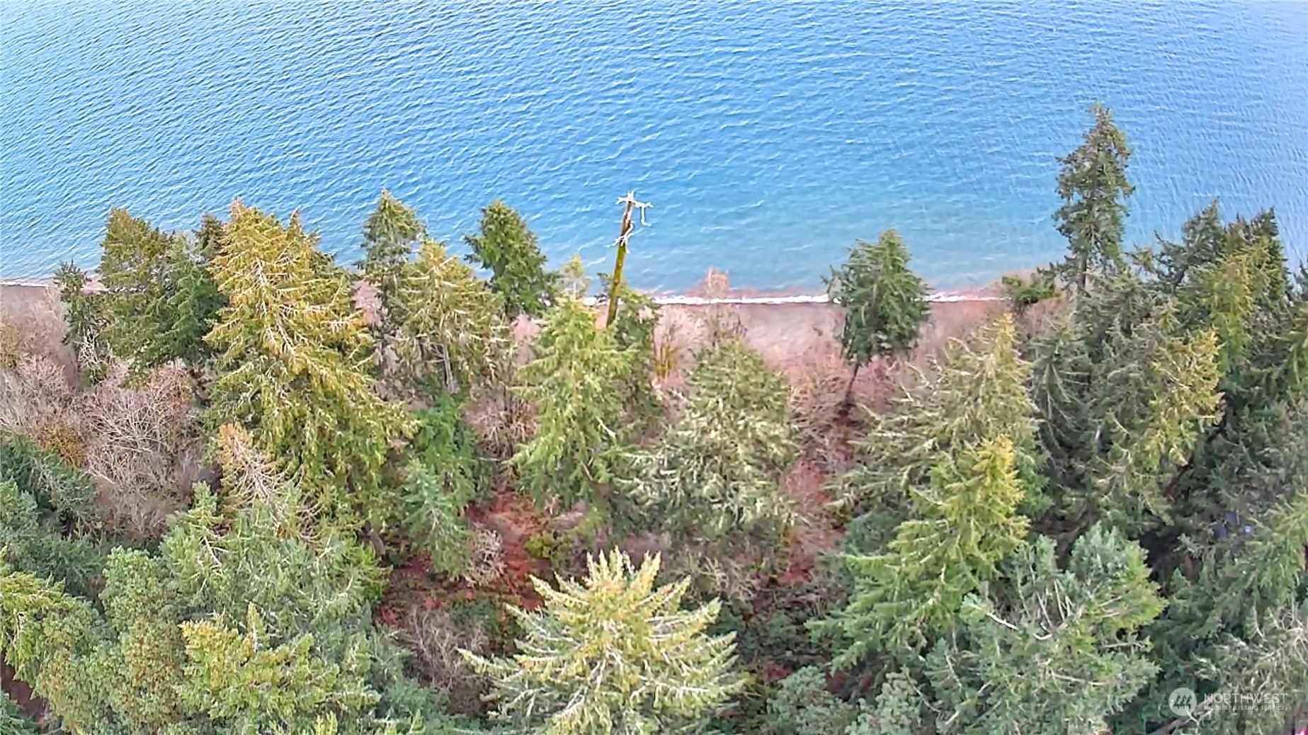 10111 Totem Way Property Photo 20