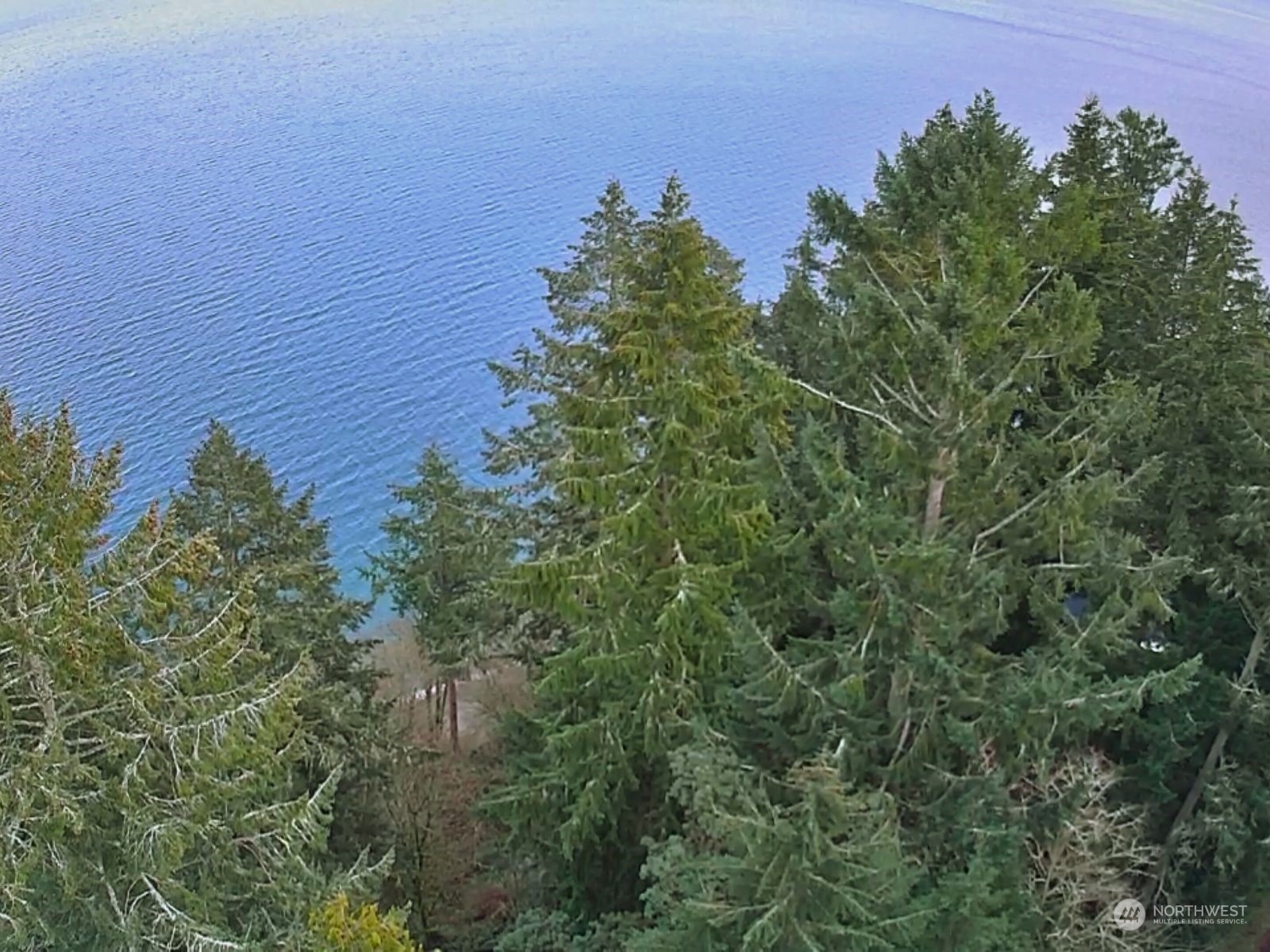 10111 Totem Way Property Photo 21