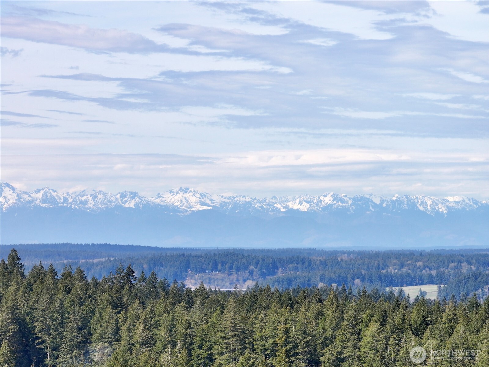 10111 Totem Way Property Photo 29